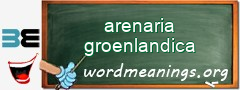 WordMeaning blackboard for arenaria groenlandica